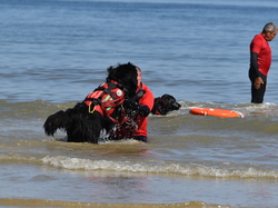  <a style='color: #fff;' href='/uploaded/photo/entrainement-2025-6875fcbf0200f.jpg'>(Télécharger)</a>