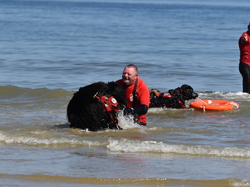  <a style='color: #fff;' href='/uploaded/photo/entrainement-2025-6875fcbf07306.jpg'>(Télécharger)</a>