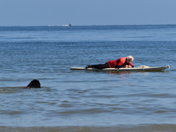  <a style='color: #fff;' href='/uploaded/photo/entrainement-2025-6875fcc7325af.jpg'>(Télécharger)</a>