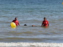  <a style='color: #fff;' href='/uploaded/photo/entrainement-2025-6875fcc76b115.jpg'>(Télécharger)</a>