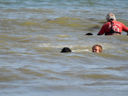  <a style='color: #fff;' href='/uploaded/photo/entrainement-2025-6875fcdd2edb0.jpg'>(Télécharger)</a>