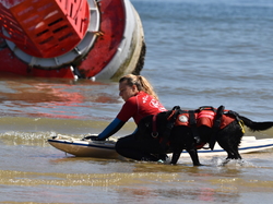  <a style='color: #fff;' href='/uploaded/photo/entrainement-2025-6875fcdd862fa.jpg'>(Télécharger)</a>