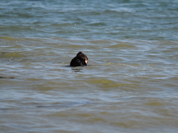  <a style='color: #fff;' href='/uploaded/photo/entrainement-2025-6875fcf1c6d03.jpg'>(Télécharger)</a>