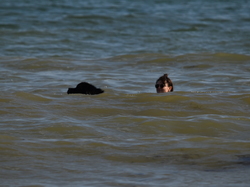  <a style='color: #fff;' href='/uploaded/photo/entrainement-2025-6875fcf1d3cb7.jpg'>(Télécharger)</a>