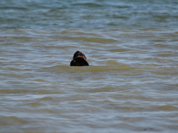  <a style='color: #fff;' href='/uploaded/photo/entrainement-2025-6875fcf20d8d3.jpg'>(Télécharger)</a>