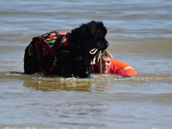  <a style='color: #fff;' href='/uploaded/photo/entrainement-2025-6875fcfb448dd.jpg'>(Télécharger)</a>