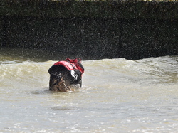  <a style='color: #fff;' href='/uploaded/photo/entrainement-2025-6875fd02e82a0.jpg'>(Télécharger)</a>