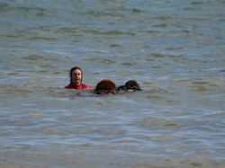  <a style='color: #fff;' href='/uploaded/photo/entrainement-2025-6875fd0b5ae80.jpg'>(Télécharger)</a>