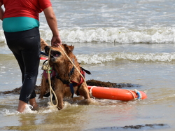  <a style='color: #fff;' href='/uploaded/photo/entrainement-2025-6875fd0bda290.jpg'>(Télécharger)</a>