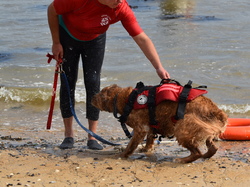  <a style='color: #fff;' href='/uploaded/photo/entrainement-2025-6875fd127b725.jpg'>(Télécharger)</a>