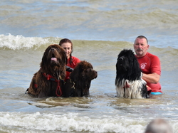  <a style='color: #fff;' href='/uploaded/photo/entrainement-2025-6875fd136a945.jpg'>(Télécharger)</a>