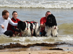  <a style='color: #fff;' href='/uploaded/photo/entrainement-2025-6875fd599fb8d.jpg'>(Télécharger)</a>