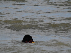  <a style='color: #fff;' href='/uploaded/photo/entrainement-2025-6875fd7a8affb.jpg'>(Télécharger)</a>