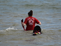  <a style='color: #fff;' href='/uploaded/photo/entrainement-2025-6875fd7a8b357.jpg'>(Télécharger)</a>