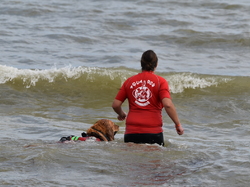  <a style='color: #fff;' href='/uploaded/photo/entrainement-2025-6875fd83bc1c1.jpg'>(Télécharger)</a>