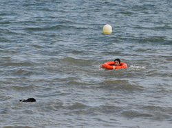  <a style='color: #fff;' href='/uploaded/photo/entrainement-2025-6875fd83c8485.jpg'>(Télécharger)</a>