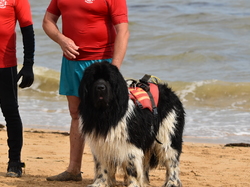  <a style='color: #fff;' href='/uploaded/photo/entrainement-2025-6875fd898dde5.jpg'>(Télécharger)</a>