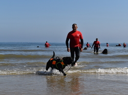  <a style='color: #fff;' href='/uploaded/photo/entrainement-2025-6875feca2cec7.jpg'>(Télécharger)</a>