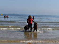  <a style='color: #fff;' href='/uploaded/photo/entrainement-2025-6875feca31df3.jpg'>(Télécharger)</a>