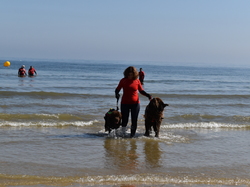  <a style='color: #fff;' href='/uploaded/photo/entrainement-2025-6875feca42790.jpg'>(Télécharger)</a>