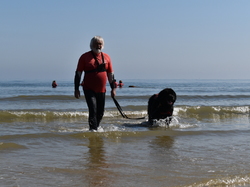  <a style='color: #fff;' href='/uploaded/photo/entrainement-2025-6875fecad0690.jpg'>(Télécharger)</a>