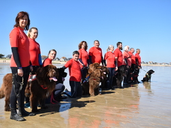  <a style='color: #fff;' href='/uploaded/photo/entrainement-2025-6875fecb2db63.jpg'>(Télécharger)</a>