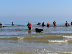  <a style='color: #fff;' href='/uploaded/photo/entrainement-2025-6875fecb33a2e.jpg'>(Télécharger)</a>