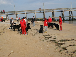  <a style='color: #fff;' href='/uploaded/photo/entrainement-luc-sur-mer-5ca6fec65c444.jpg'>(Télécharger)</a>