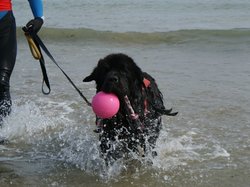  <a style='color: #fff;' href='/uploaded/photo/entrainements-2018-suite-5b89c581b50d2.jpg'>(Télécharger)</a>