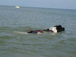  <a style='color: #fff;' href='/uploaded/photo/entrainements-2018-suite-5b89c5a243d2a.jpg'>(Télécharger)</a>