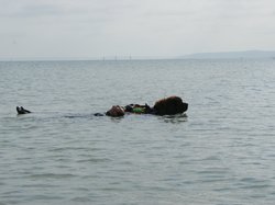  <a style='color: #fff;' href='/uploaded/photo/entrainements-2018-suite-5b89c5b5cbffb.jpg'>(Télécharger)</a>