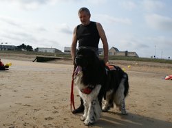  <a style='color: #fff;' href='/uploaded/photo/entrainements-2018-suite-5b89c5bb9e621.jpg'>(Télécharger)</a>