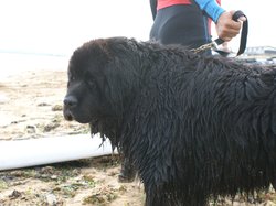  <a style='color: #fff;' href='/uploaded/photo/entrainements-2018-suite-5b89c8d29862d.jpg'>(Télécharger)</a>