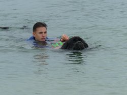  <a style='color: #fff;' href='/uploaded/photo/entrainements-2018-suite-5b89cb7ac310f.jpg'>(Télécharger)</a>