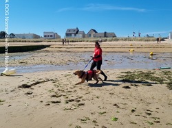  <a style='color: #fff;' href='/uploaded/photo/entrainements-2022-62efaa7c40a54.jpg'>(Télécharger)</a>