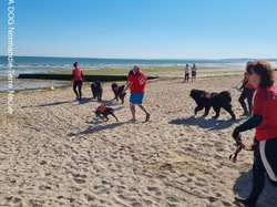  <a style='color: #fff;' href='/uploaded/photo/entrainements-2022-62efaa7ccf5c5.jpg'>(Télécharger)</a>