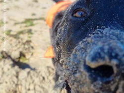  <a style='color: #fff;' href='/uploaded/photo/entrainements-2022-62efaaac1560c.jpg'>(Télécharger)</a>