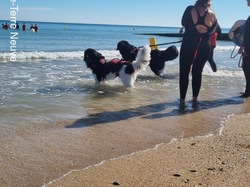  <a style='color: #fff;' href='/uploaded/photo/entrainements-2022-62efad88ca830.jpg'>(Télécharger)</a>