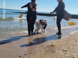  <a style='color: #fff;' href='/uploaded/photo/entrainements-2022-62efad8917f4a.jpg'>(Télécharger)</a>