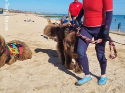  <a style='color: #fff;' href='/uploaded/photo/entrainements-2022-62efad8977233.jpg'>(Télécharger)</a>