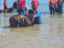  <a style='color: #fff;' href='/uploaded/photo/entrainements-2022-62efae1ba1756.jpg'>(Télécharger)</a>