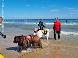  <a style='color: #fff;' href='/uploaded/photo/entrainements-2022-62efae6d0019c.jpg'>(Télécharger)</a>