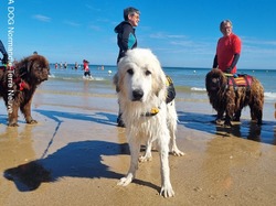  <a style='color: #fff;' href='/uploaded/photo/entrainements-2022-62efae6dcac29.jpg'>(Télécharger)</a>