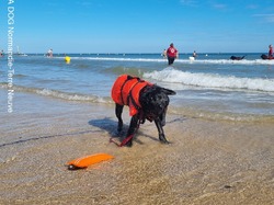  <a style='color: #fff;' href='/uploaded/photo/entrainements-2022-62efae6e84ee8.jpg'>(Télécharger)</a>