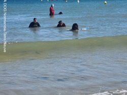  <a style='color: #fff;' href='/uploaded/photo/entrainements-2022-62efaeb0ee854.jpg'>(Télécharger)</a>