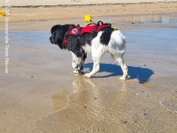  <a style='color: #fff;' href='/uploaded/photo/entrainements-2022-62efaeb281640.jpg'>(Télécharger)</a>