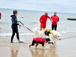  <a style='color: #fff;' href='/uploaded/photo/entrainements-2022-62efaeeb00f78.jpg'>(Télécharger)</a>