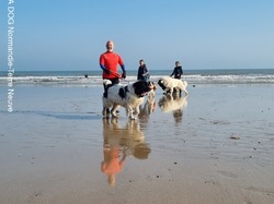  <a style='color: #fff;' href='/uploaded/photo/entrainements-2022-62efb13925569.jpg'>(Télécharger)</a>