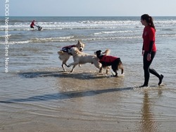  <a style='color: #fff;' href='/uploaded/photo/entrainements-2022-62efb1bdbd93a.jpg'>(Télécharger)</a>