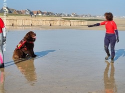  <a style='color: #fff;' href='/uploaded/photo/entrainements-2022-62efb1bdcc4bd.jpg'>(Télécharger)</a>